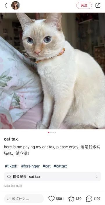 一对一外教 雅思_雅思外教口语课程_雅思外教一对一价格