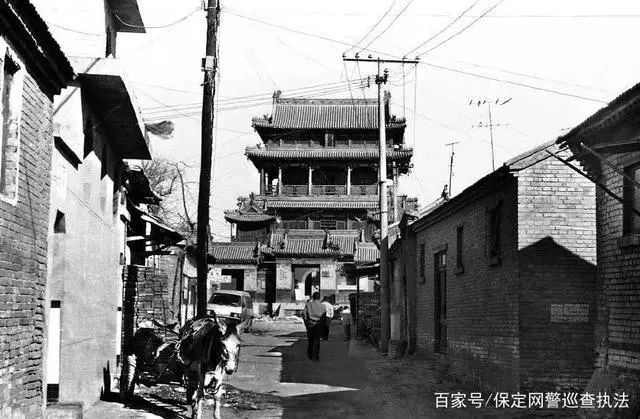 保定外教老师哪里找_保定英语外教一对一_保定新窗口外教英语