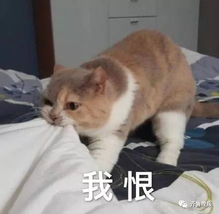 济宁英语一对一外教_济宁外教口语培训哪家好_济宁英语教育培训