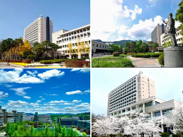 辅导济南外教的学校_辅导济南外教的老师_济南外教一对一辅导