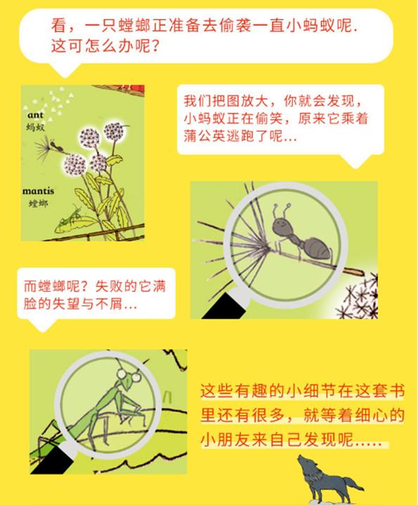 黄磊一对一外教_黄磊国外_黄磊教过的学生