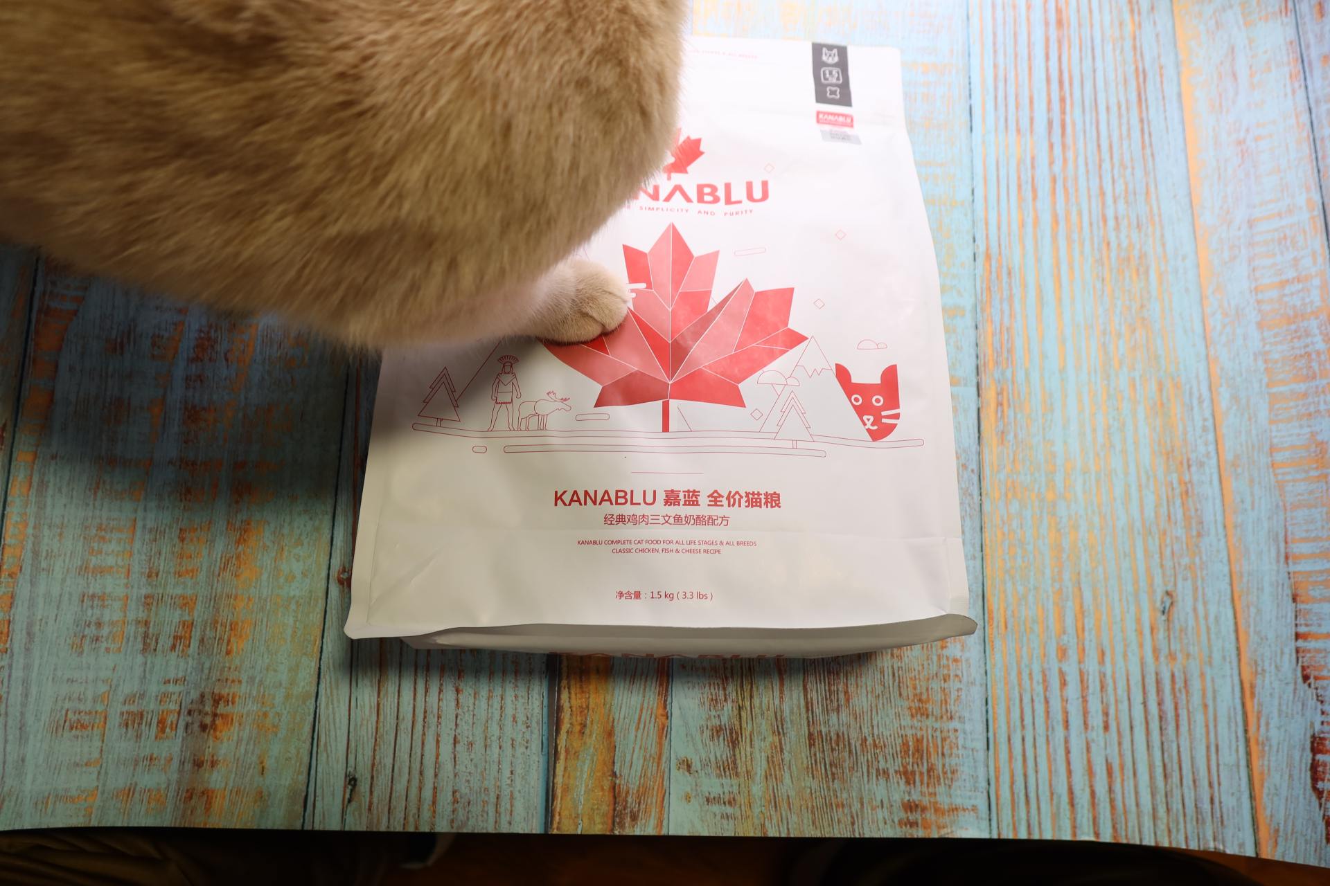 薄荷英语外刊怎么用_外教一对一薄荷英语怎么说_薄荷英语翻译
