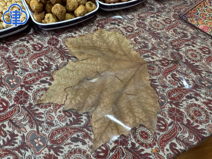 外教一对一是怎么样的_外教老师是_外教是啥