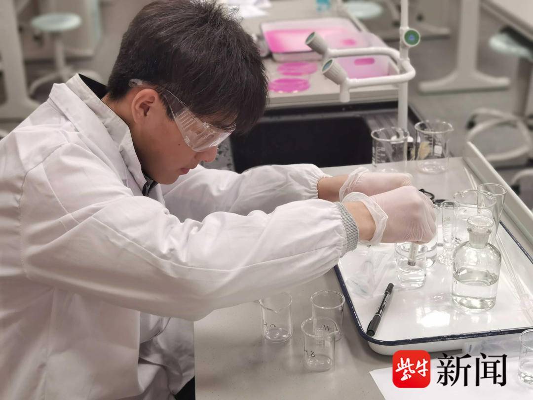 南京全外教的少儿英语机构_一对一南京英语外教_南京外语培训哪家好