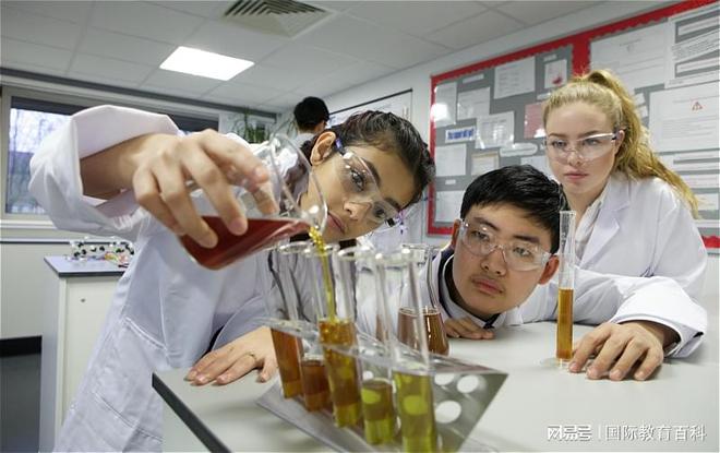 英语外教vi_英语外教的英文_彼言英语外教一对一怎么样
