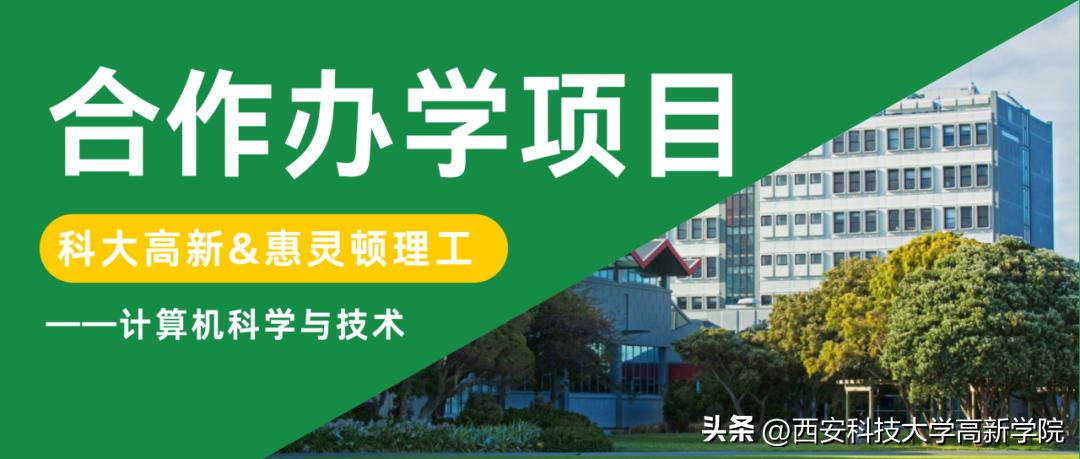 外教授课英语_外教一对一授课外教_外教授课是什么意思