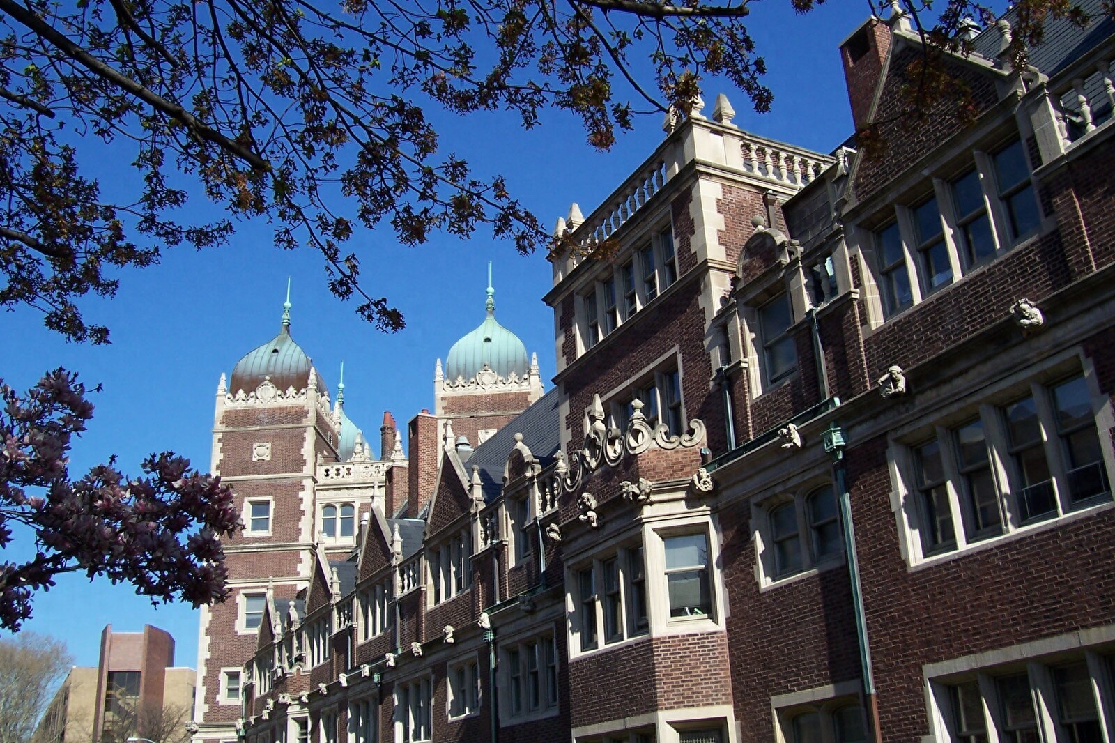 郑州外教老师招聘信息_郑州外教_郑州外教老师一对一