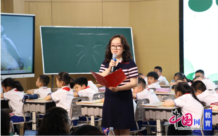 外国语小学教师_小学生外教老师一对一教学_外教老师教小学生好不好
