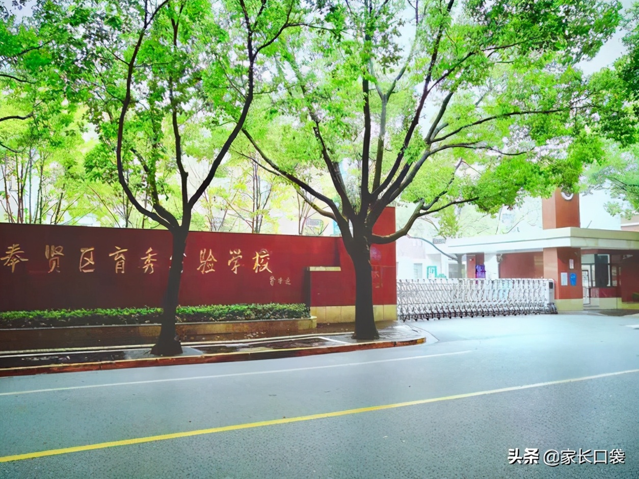 上外双语杨浦_杨浦外教一对一_上海杨浦外国语学校