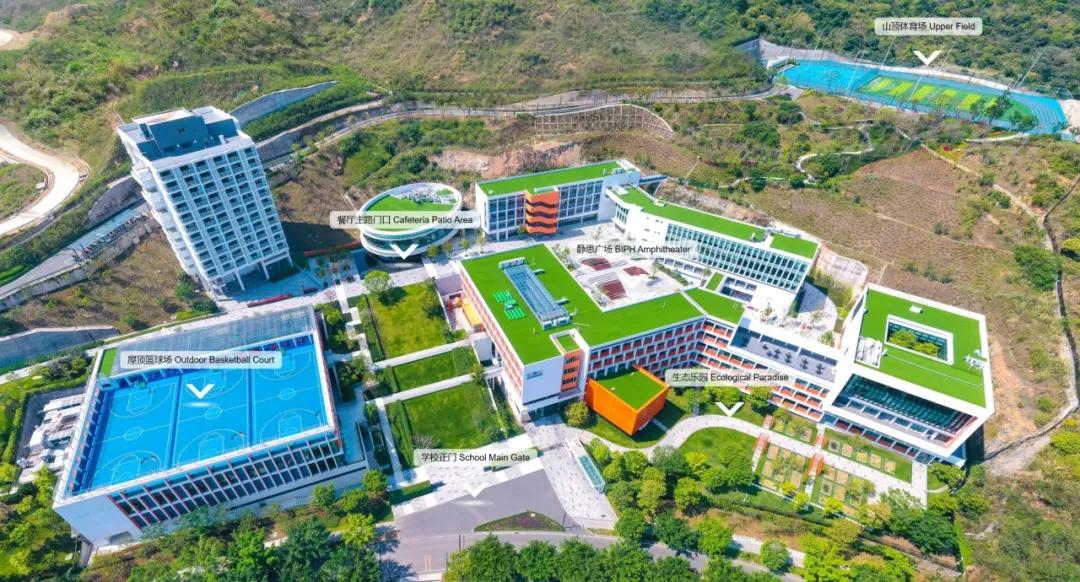 课外辅导是什么工作_一对一课外辅导外教的_课外辅导教育