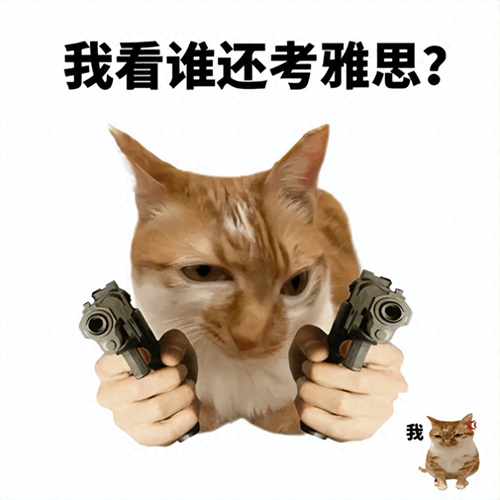 外教作文老师评语大全_一对一外教老师作文_外教作文老师怎么写