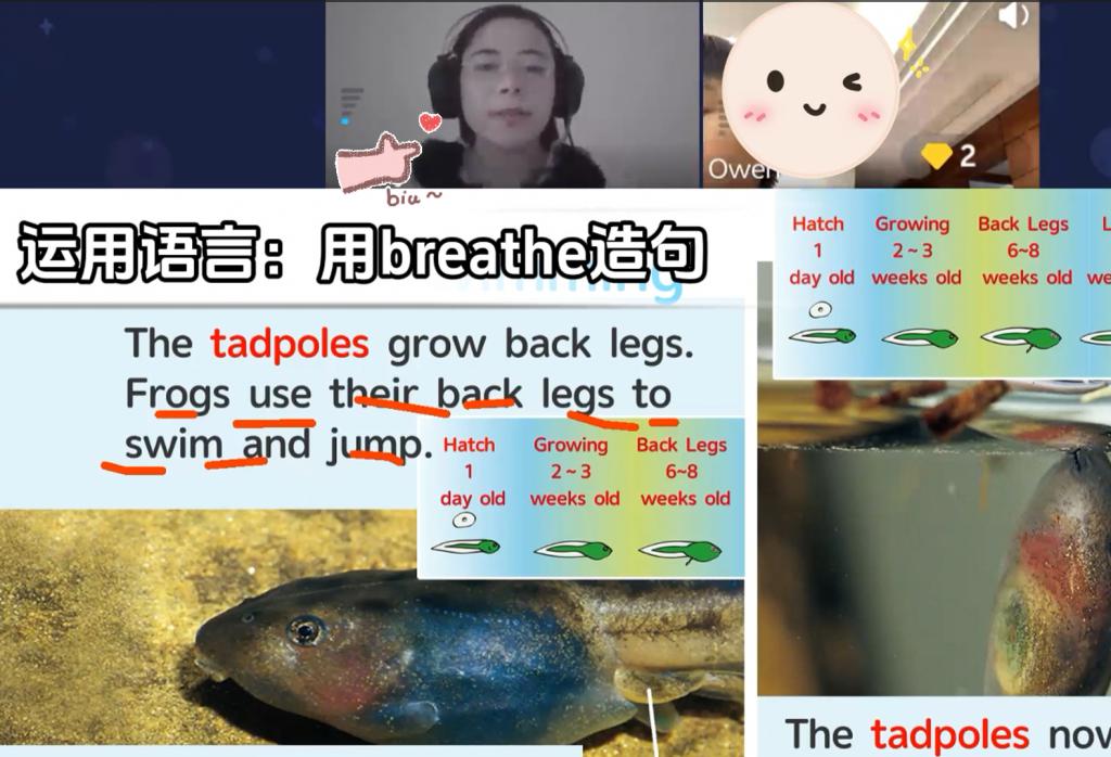  久趣英语阅读课价格 _外教一对一的英语课程_