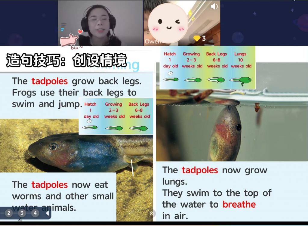  久趣英语阅读课价格 __外教一对一的英语课程