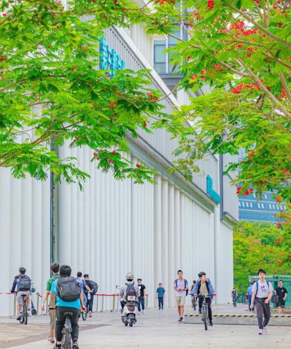 沈阳市外教一对一_沈阳师范大学国际班4+0项目优势_沈阳师范大学国际班4+0留学咨询机构