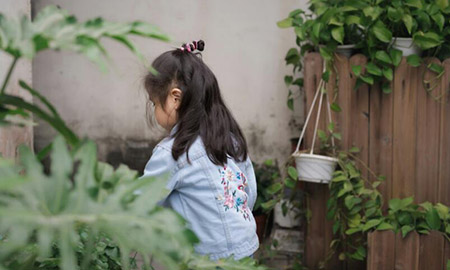 英语学习系统_英语怎么系统的学_英语学习